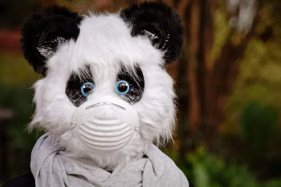 Casino Cabaret Club Stuðningur